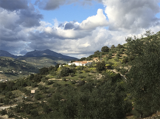 Casa Cerro - https://davidfern.lon1.cdn.digitaloceanspaces.com/media/images/CCerro_cloudy_hill_image.png