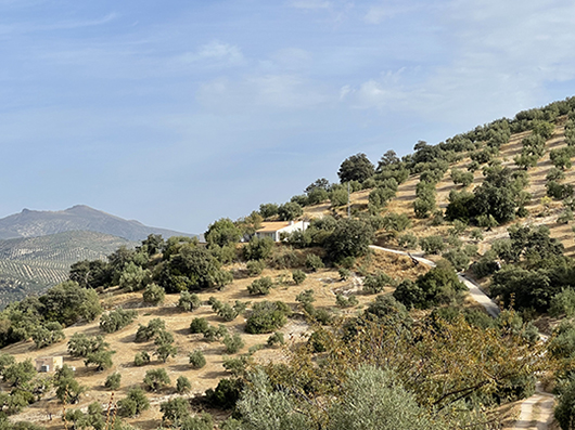 Casa Cerro - https://davidfern.lon1.cdn.digitaloceanspaces.com/media/images/CCerro_on_hillside_1_.jpg