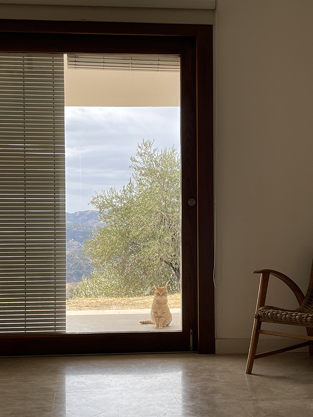 SplashItem object (20) - image 